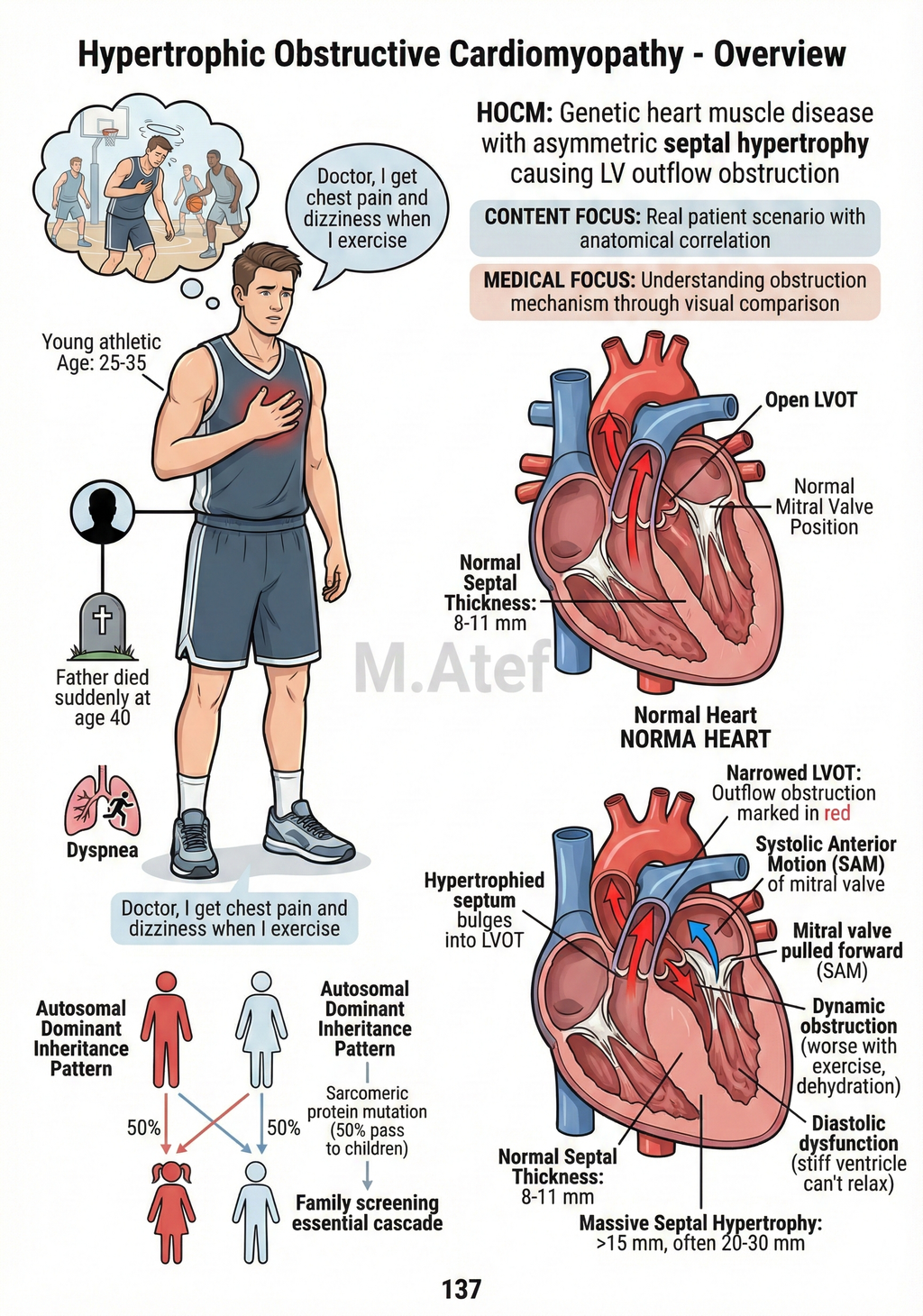 Emergency Medicine Made Simple – A Practical ER Survival Guide