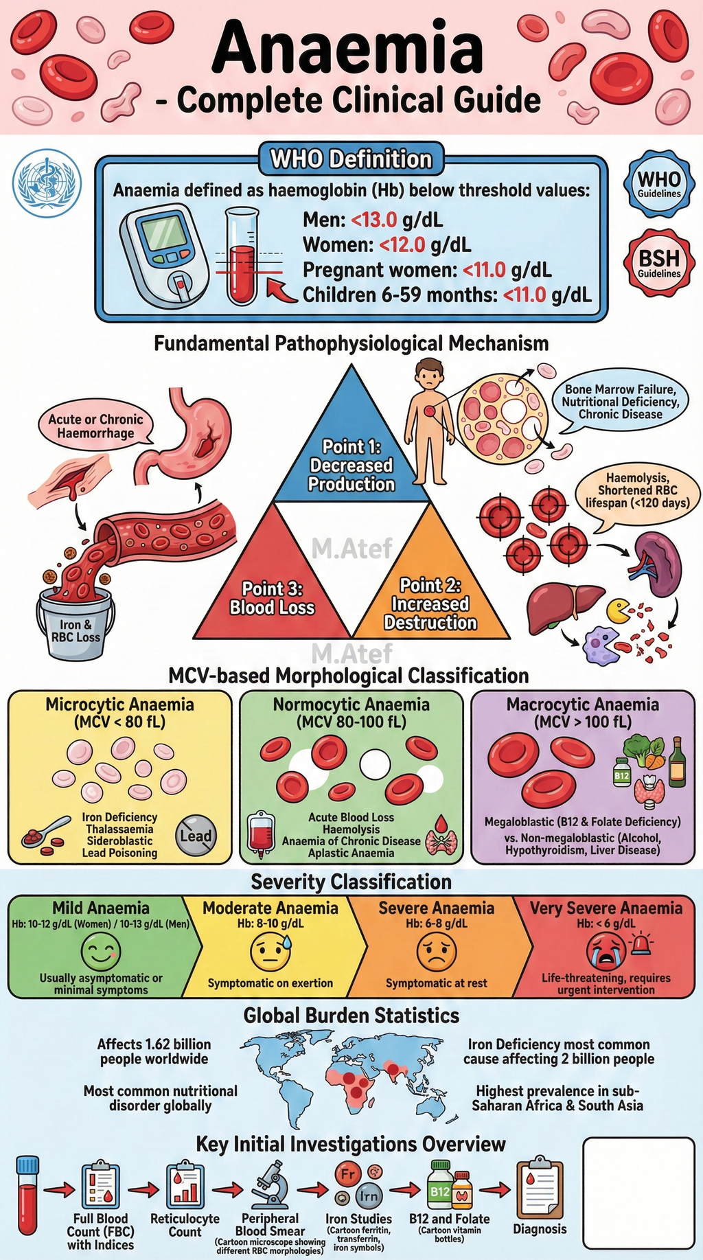 Emergency Medicine Made Simple – A Practical ER Survival Guide