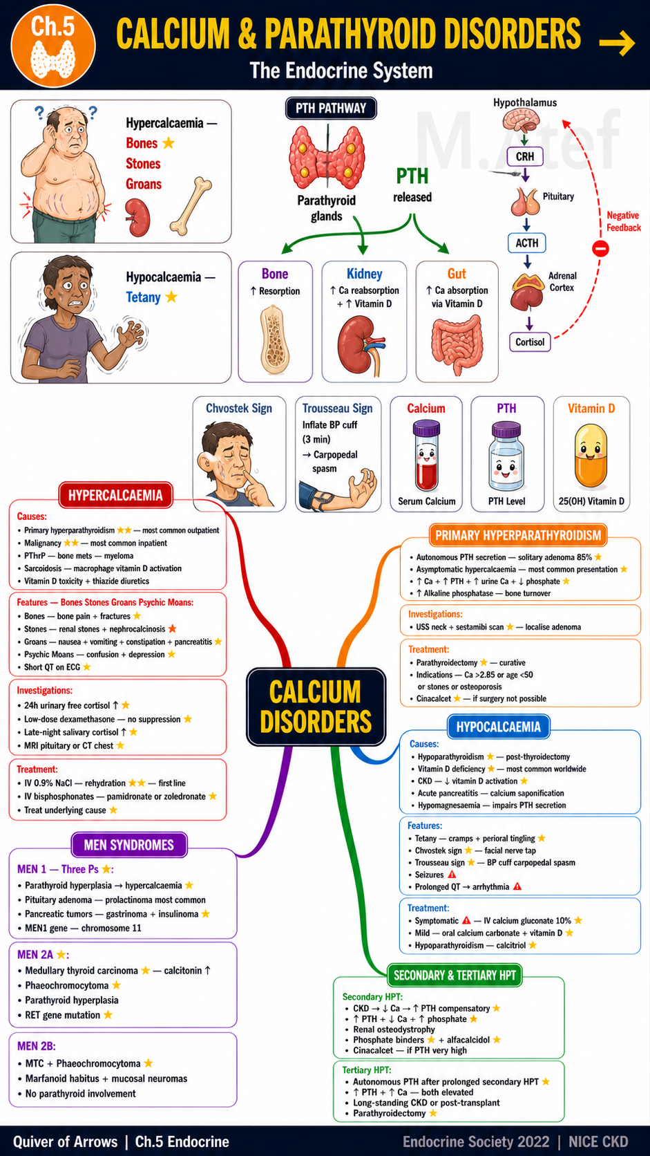Quiver of Arrows: Visual Mind Maps for Medical Students — All 14 Body Systems